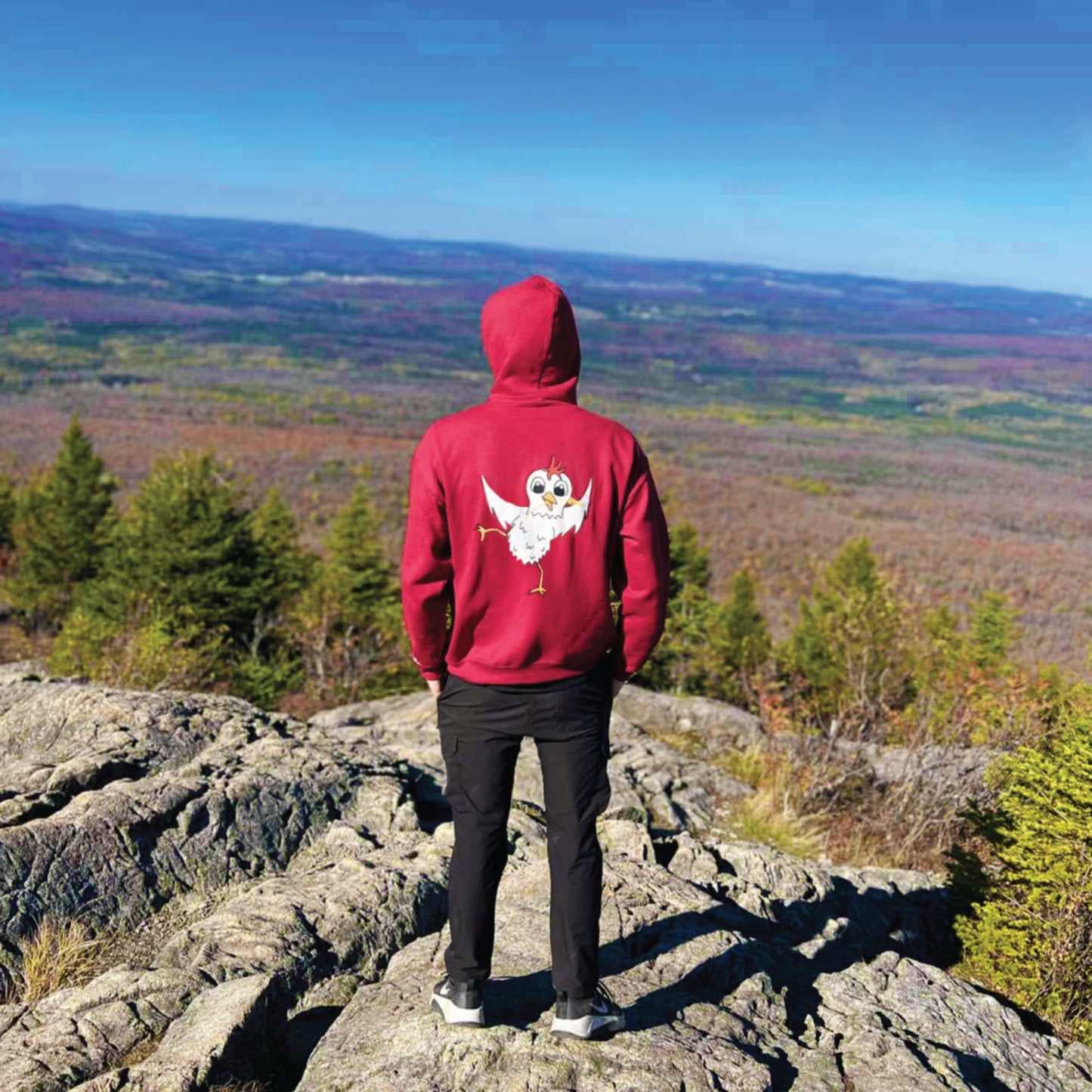 Hoodie Poule | Myrtille design